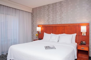 Suite, 1 King Bed with Sofa bed