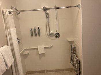 Room, 1 King Bed with Sofa bed (Mobility/Hearing Access, Roll-In Shwr)