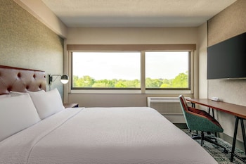 Room, 1 Queen Bed