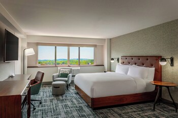 Room, 1 King Bed (Pure)