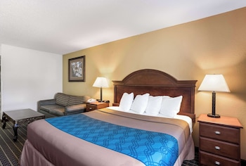 Room, 1 King Bed, Non Smoking