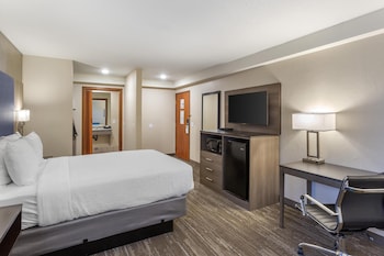Standard Room, 1 Queen Bed, Accessible, Refrigerator & Microwave