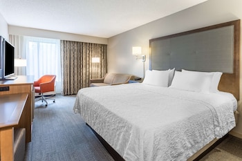 Room, 1 King Bed, Non Smoking