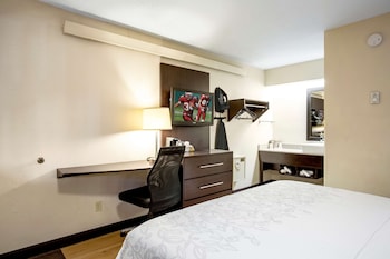 Standard Room, 1 King Bed (Smoke Free)