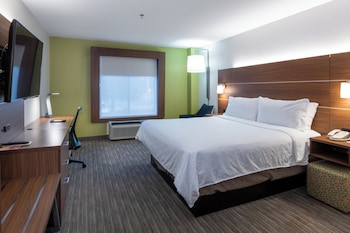 Suite, 1 King Bed with Sofa bed