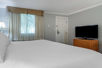 Standard Room, 1 King Bed, Non Smoking, Refrigerator & Microwave