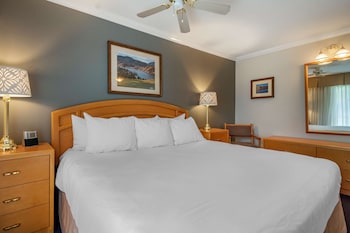 Standard Room, 1 King Bed, Non Smoking, Refrigerator & Microwave