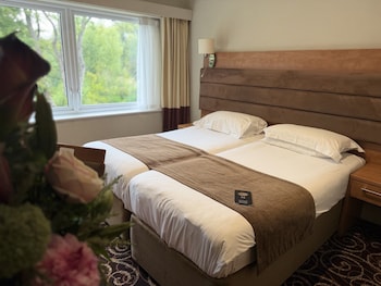Twin Room, 2 Twin Beds