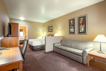 Room, 1 King Bed with Sofa bed, Non Smoking