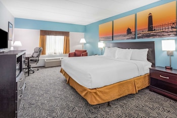 Room, 1 King Bed, Non Smoking (Pet-Friendly)