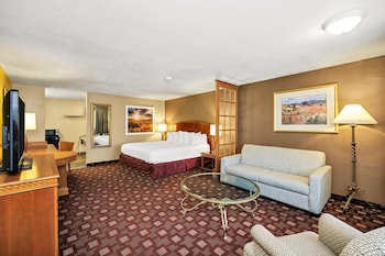Studio Suite, 1 King Bed, Non Smoking