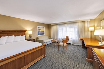 Deluxe Room, 1 King Bed, Non Smoking