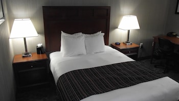 Room, 1 Queen Bed, Non Smoking