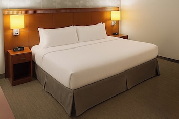 Standard Room, 1 King Bed, Roll-in Shower (Roll-In Shower, Mobility)