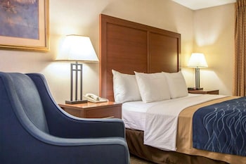 Studio Suite, 1 Queen Bed, Non Smoking (Efficiency)