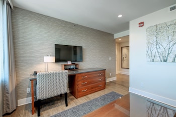 City Suite, 1 King Bed with Sofa bed