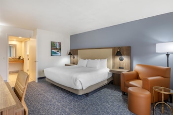 Standard Room, 1 King Bed, Accessible, Non Smoking