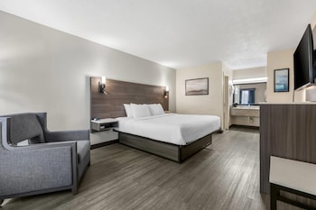 Business Room, 1 King Bed, Smoking