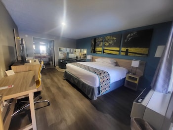 Standard Room, 1 King Bed, Non Smoking, Jetted Tub