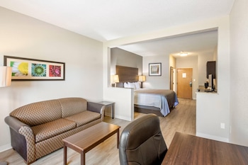 Suite, 1 King Bed with Sofa bed, Accessible, Non Smoking (Efficiency)
