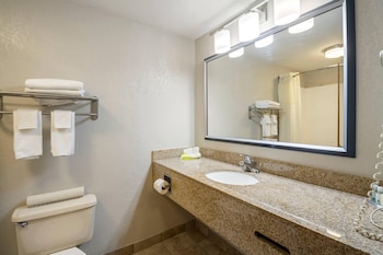 Suite, 1 King Bed, Smoking (Efficiency)