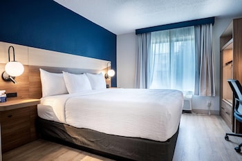 Room, 1 King Bed, Non Smoking