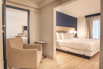 Room, 1 King Bed, Accessible, Non Smoking (Mobility, Roll-in Shower)