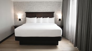 Standard Room, 1 King Bed with Sofa bed