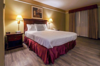 Standard Room, 1 Queen Bed, Non Smoking