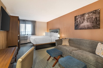 Standard Room, 1 King Bed with Sofa bed, Non Smoking