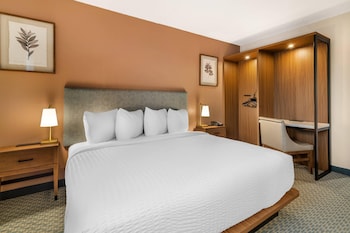 Room, 1 Double Bed, Accessible, Non Smoking