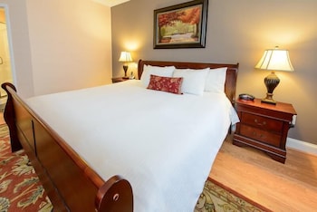 Deluxe Room, 1 King Bed, Refrigerator, City View