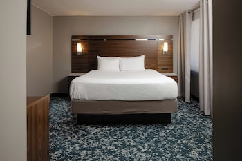 Suite, 1 King Bed with Sofa bed