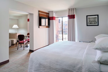 Suite, 1 King Bed with Sofa bed