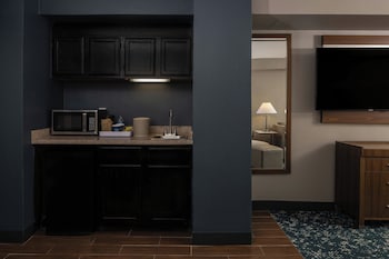 Deluxe Suite, 1 Bedroom