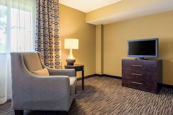 Suite, 1 King Bed with Sofa bed (Wet Bar, Living Room)