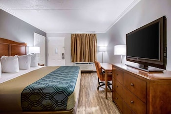 Suite, 1 King Bed, Non Smoking (Efficiency, Roll-In Shower)