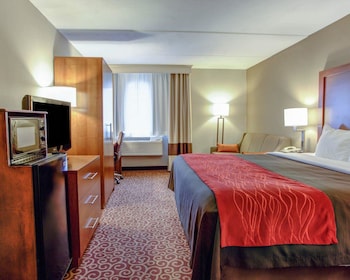 Standard Room, 1 King Bed with Sofa bed, Non Smoking