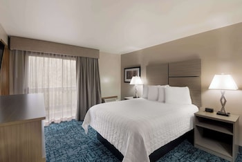 Standard Room, 1 King Bed, Non Smoking, Balcony (Pet Friendly)