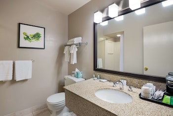 Standard Room, 1 Queen Bed, Non Smoking, Refrigerator