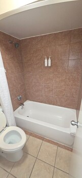 Standard Single Room, 1 King Bed