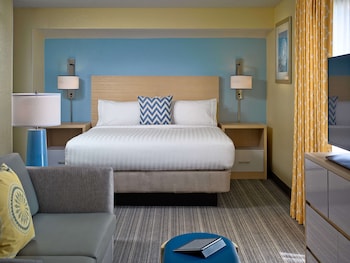 Studio Suite, 1 Queen Bed, Mobility Accessible, Fireplace (Shower)