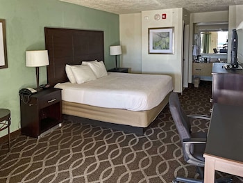 Room, 1 King Bed, Accessible, Non Smoking