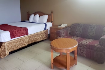 Room, 1 King Bed