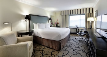 Room, 1 King Bed (Good Vibes)