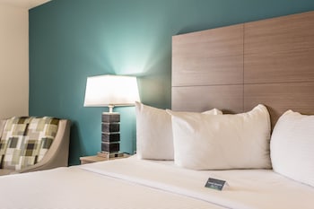 Room, 1 King Bed, Non Smoking, Pool View