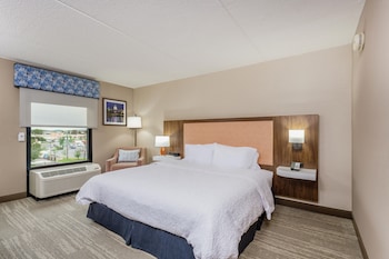 Studio, 1 King Bed with Sofa bed, Accessible, Fireplace (Mobility & Hearing)