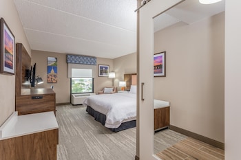 Studio, 1 King Bed with Sofa bed, Accessible, Fireplace (Mobility & Hearing)