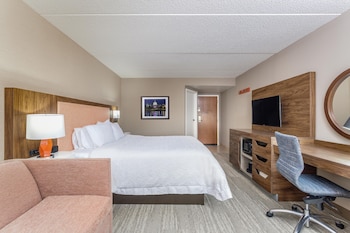 Room, 1 King Bed with Sofa bed, Fireplace