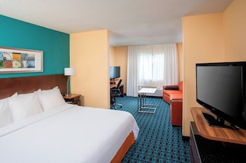 Executive Suite, 1 King Bed with Sofa bed